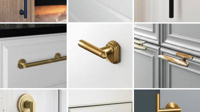 Exploring Unique Alternatives to Traditional Knobs for Modern Design
