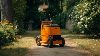 Exploring Innovative Alternatives to Small Lawn Mowers for Global Buyers