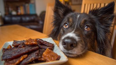 The Complete Ultimate Guide to Sourcing Quality Jerky Dog Food for Your Business