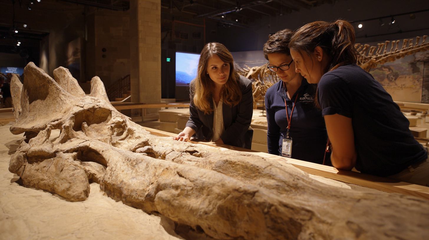 The Future of Interactive Dinosaur Bone Dig Experiences