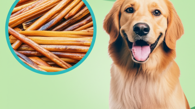 The Future of Rawhide Duck Dog Food Shaping Healthy Pet Diets with Innovative Ingredients