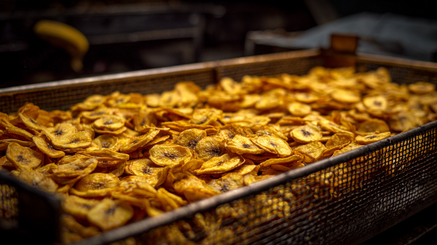 How to Choose the Right Banana Chips Frying Machine for Your Business Needs
