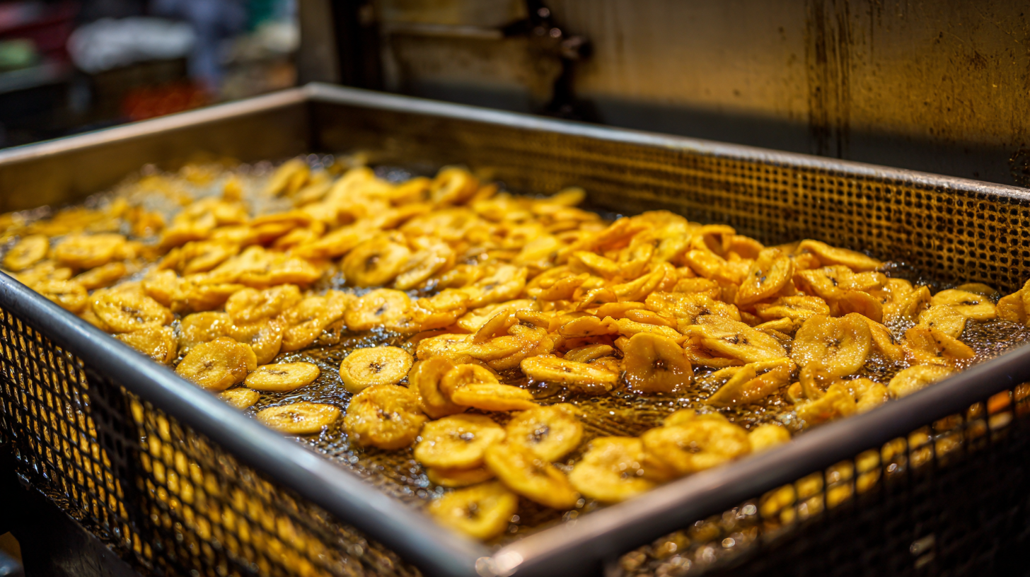 How to Choose the Right Banana Chips Frying Machine for Your Business Needs