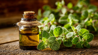 Comprehensive Guide to the Remarkable Health Benefits of Oil of Oregano Drops