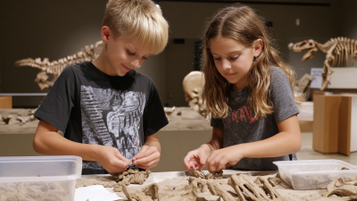 How to Create Exciting Learning Experiences with a Dinosaur Fossil Dig Kit