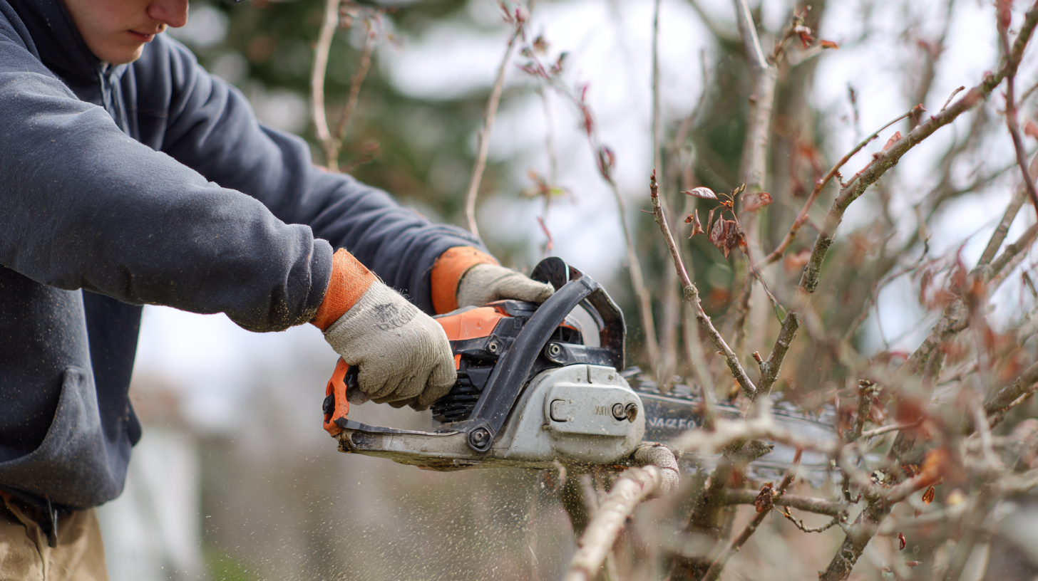 Mastering the Art of Pruning Techniques with a Reciprocating Saw