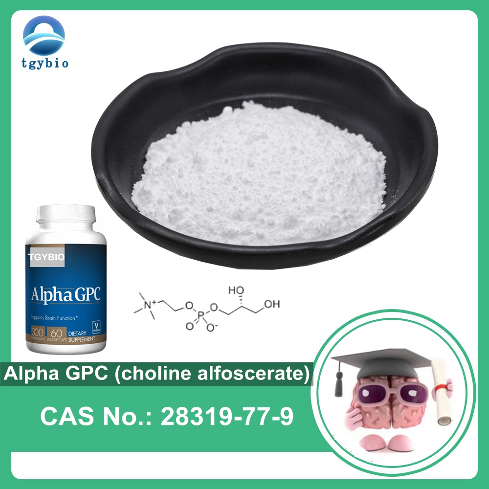 الملحق الصحي الكولين جليسيروفوسفات Alpha-GPC Powder Alpha GPC