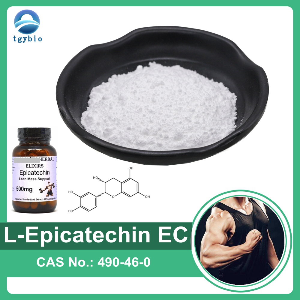 สารสกัดจากชาเขียวธรรมชาติ 100% L-Epicatechin 90% 98% ผง Epicatechin