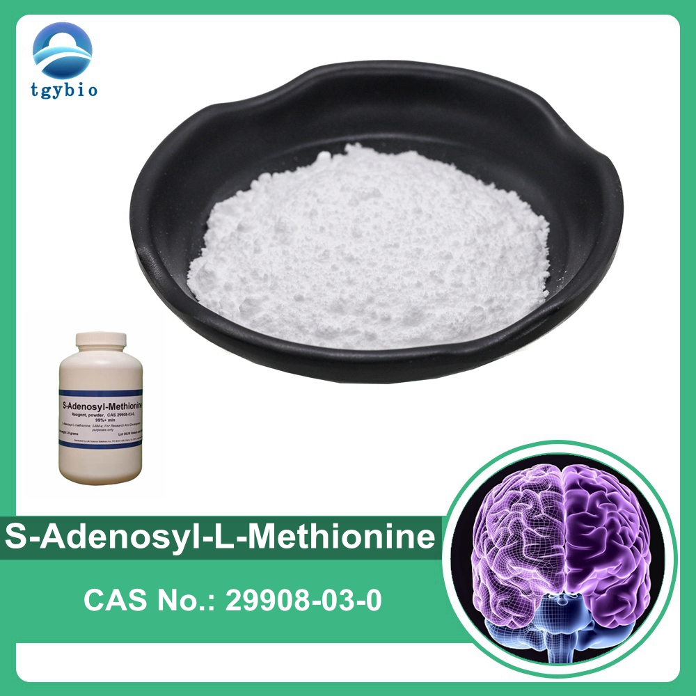 المكملات الغذائية S-adenosyl L-Methionine Powder S-adenosyl-l-methionine SAMe
