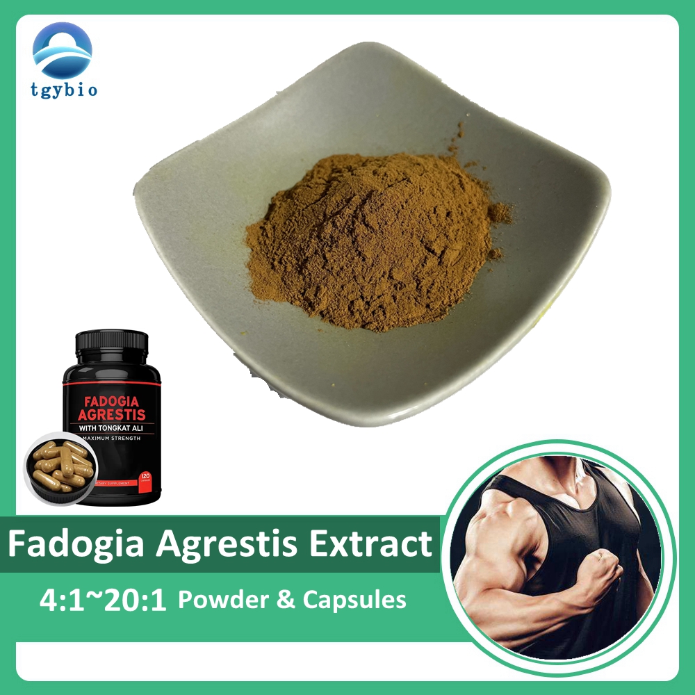 จัดหาสารสกัดจากต้นกำเนิด Fadogia Agrestis ธรรมชาติ 100% ผง Fadogia Agrestis