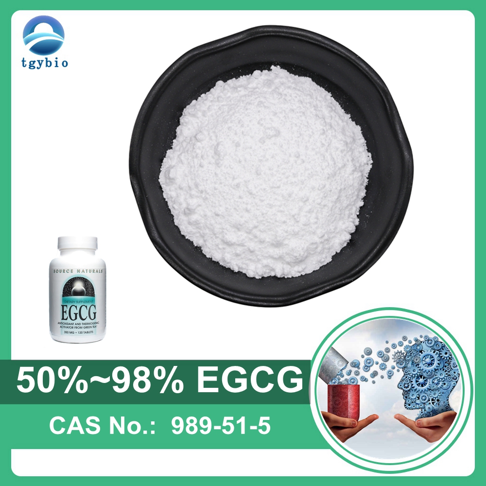 Поставка 100% экстракт зеленого чая EGCG эпигаллокатехин галлат 50% 98% порошок EGCG