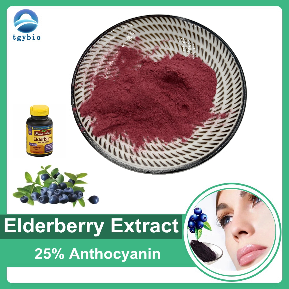 จัดหาสารสกัดจาก Elderberry สีดำผงสกัด Elderberry 25% แอนโทไซยานิน