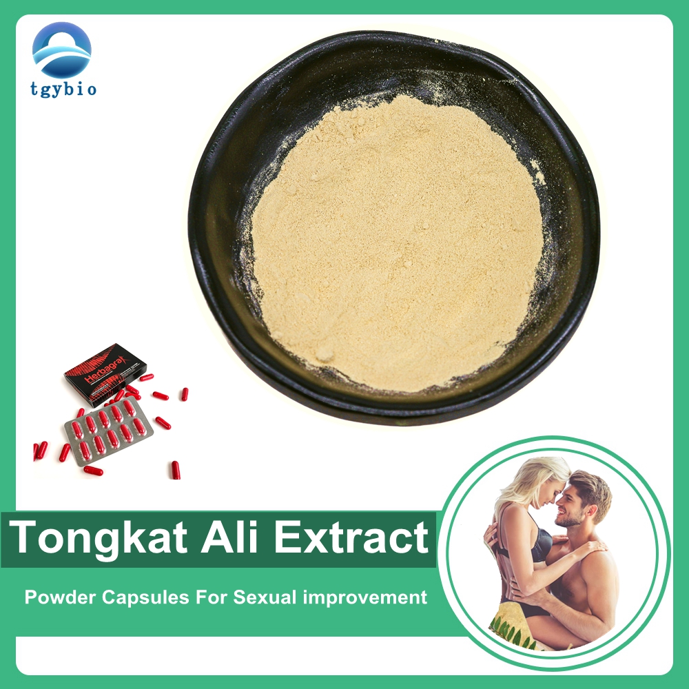 Extrait 100% naturel d'Eurycoma Longifolia 200:1, poudre d'extrait de Tongkat Ali