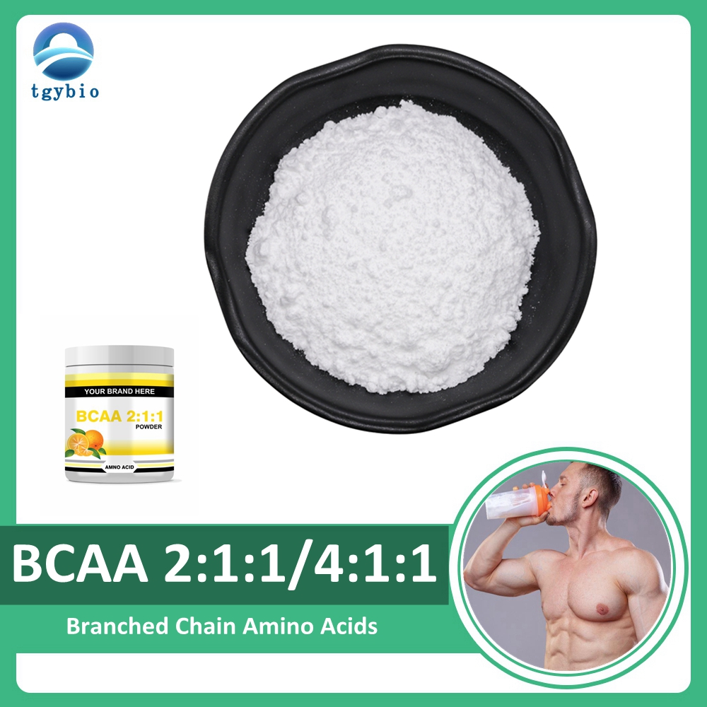 Supplément d'acides aminés à chaîne ramifiée instantanés BCAA 2:1:1 4:1:1