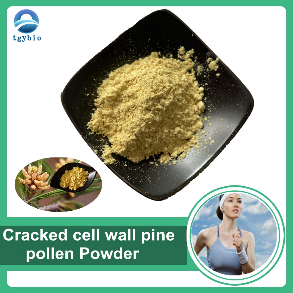 Poudre de pollen de pin de haute qualité, poudre de pollen de pin à paroi cellulaire fissurée à 99%