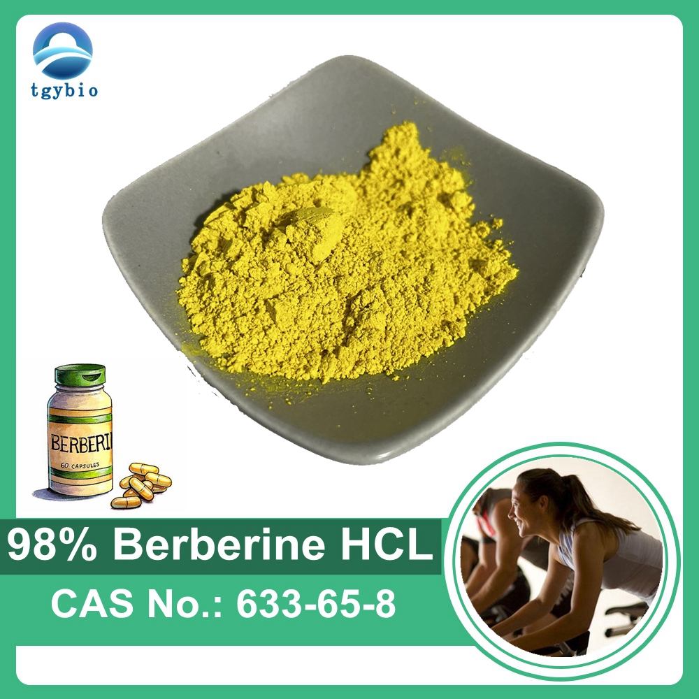 Fournir de la poudre naturelle de chlorhydrate de berbérine à 98 % de berbérine HCL