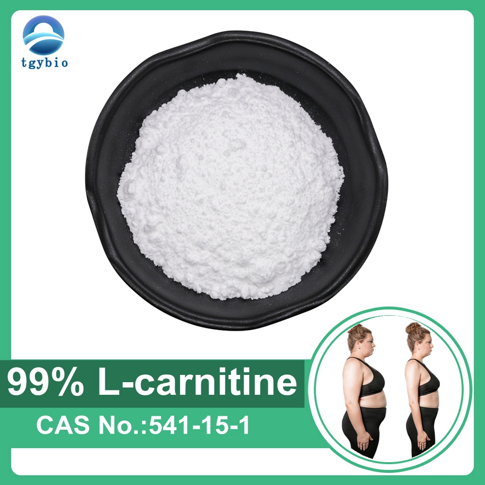 Supplément de L-Carnitine Poudre de L-Carnitine pure