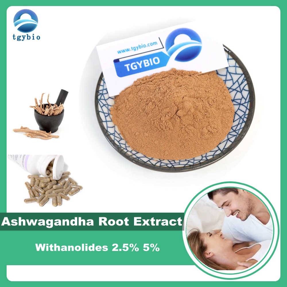 Poudre d'extrait de racine d'Ashwagandha Withanolides 2,5% 5%
