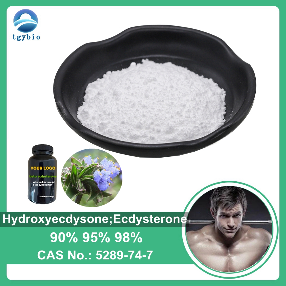 Natural Cyanotis Arachnoidea Extract 98% Beta Ecdysterone Powder Hydroxyecdysone