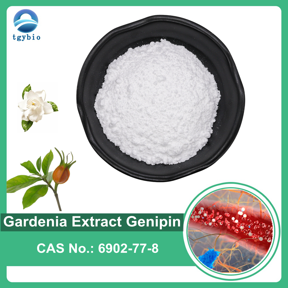 100% Natural Gardenia Extract 98% Genipin Powder