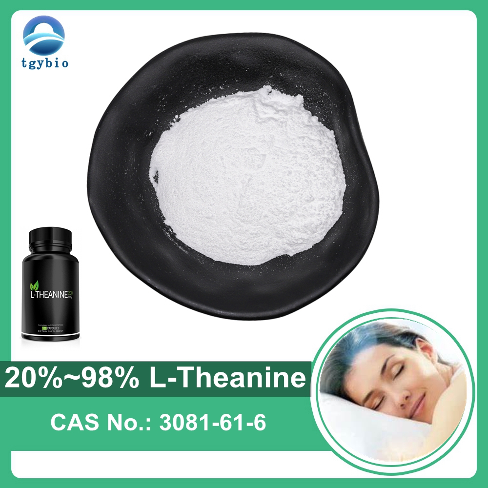Wholesale Green Tea Extract 20%~98% L-theanine Powder CAS 3081-61-6 