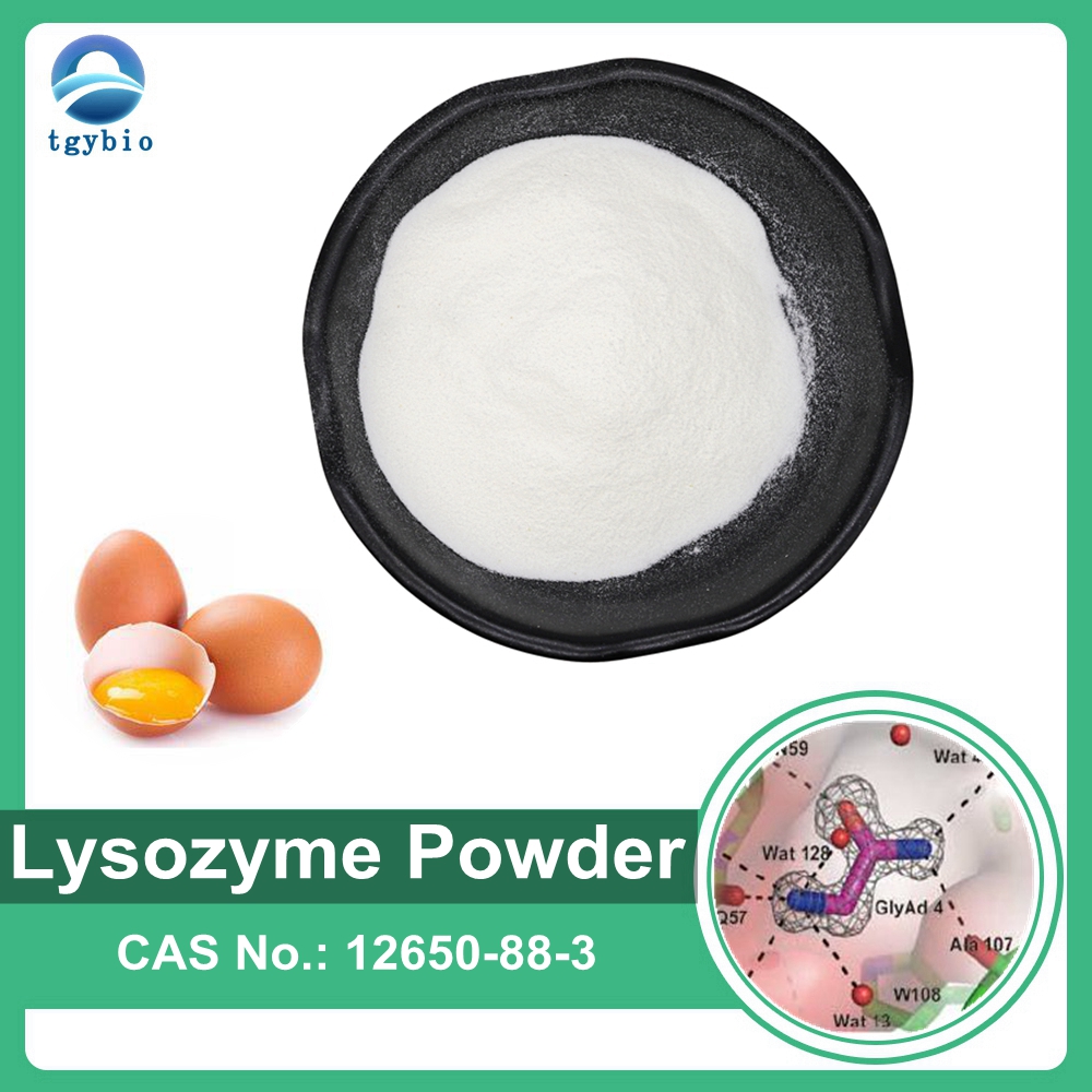 Supply Food Additive Natural Chicken Egg White Enzyme Lysozyme Powder