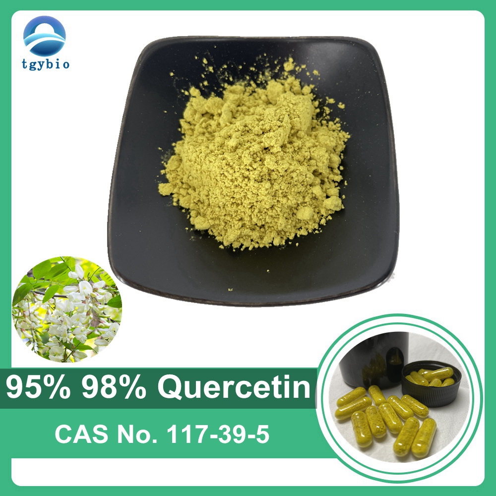 High Purity Sophora Japonica Extract 95%-98% Quercetin Powder