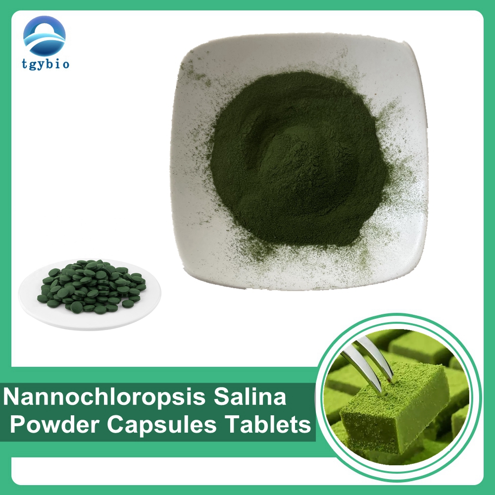 Hot Selling Organic Nannochloropsis Salina Powder