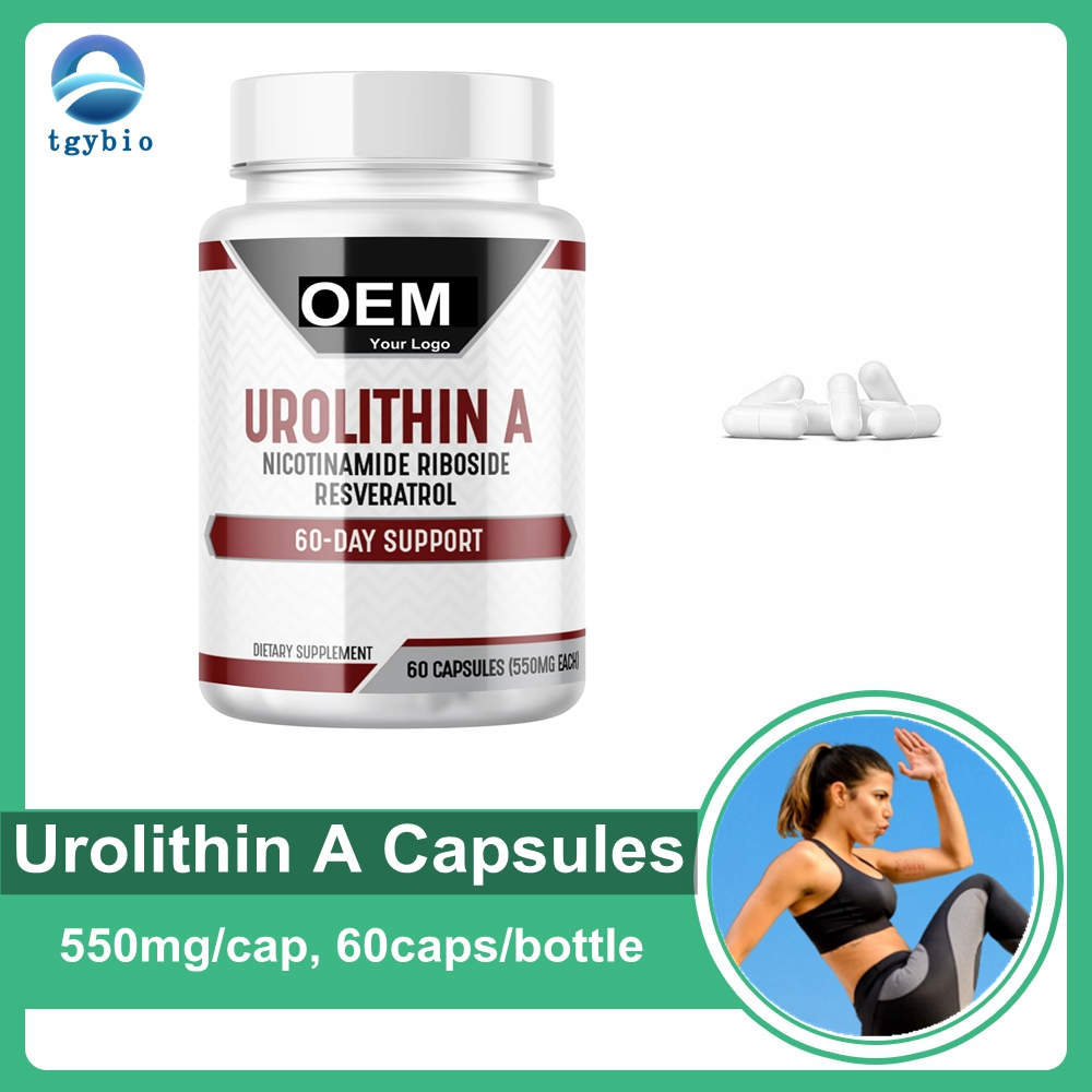 Частная торговая марка OEM Urolithin A в капсулах для энергетических добавок
