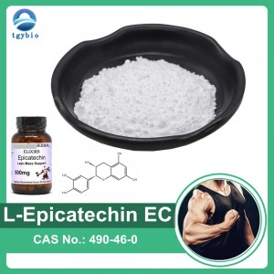 100 % natürlicher Grüntee-Extrakt L-Epicatechin 90 % 98 % Epicatechin-Pulver