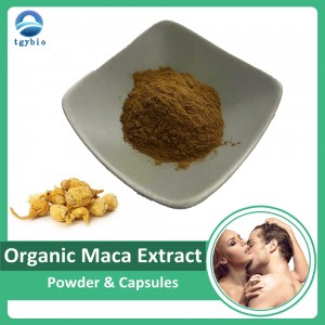 100% naturalny organiczny ekstrakt z korzenia Maca Czarny ekstrakt z korzenia Maca w proszku