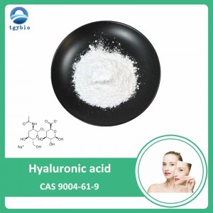 Poudre d'acide hyaluronique de matière première cosmétique