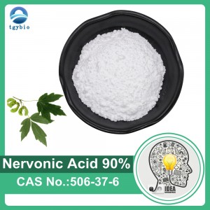 Extrait d'Acer Truncatum 90 % d'acide nervonique