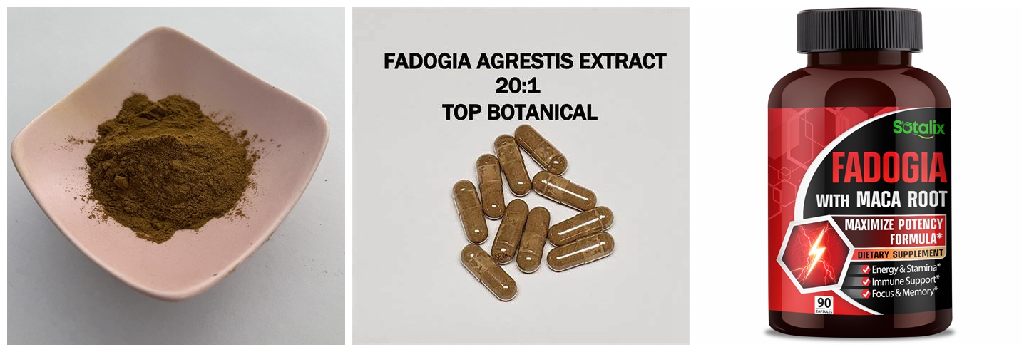 Fadogia-Extrakte aus der Wildnis