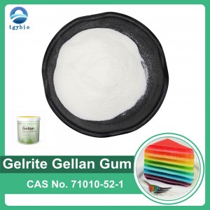 Pasokan Bahan Tambahan Makanan Pengental Gellan Gum Powder CAS 71010-52-1 High Acyl Gellan Gum