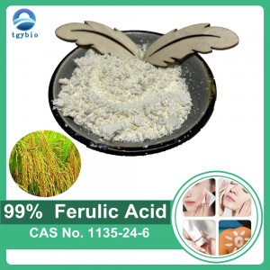 Extracto de salvado de arroz natural de alta calidad 99% de ácido ferúlico