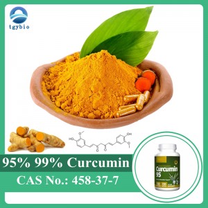 Turmeric Extract Pulvis 95% Curcumin