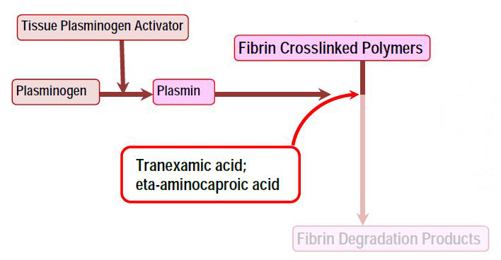 tranexamic acid process