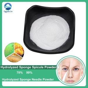 Cosmetic Raw Materials 99% Hydrolyzed Sponge Needle Powder Sponge Spicule Powder