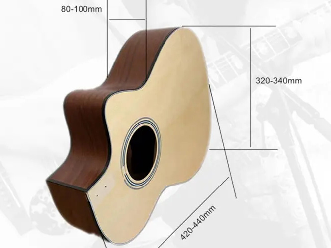 Case Study - Customize Acoustic Body For Client of UK