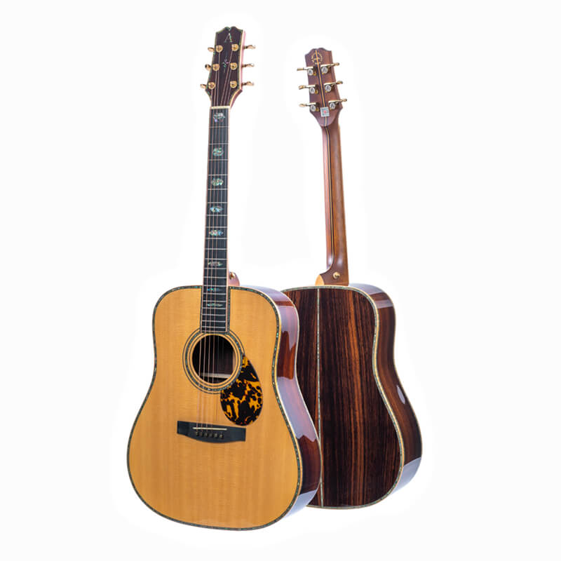 Professional Acoustic Guitar D930