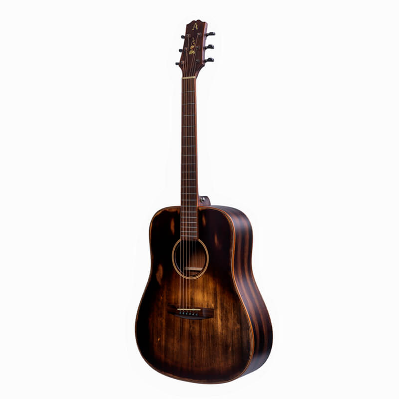Solid Body Acoustic Guitar D810