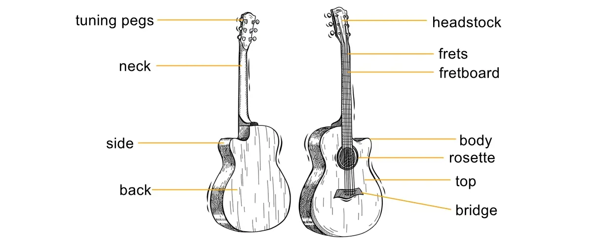 guitar-anatomy-1.webp