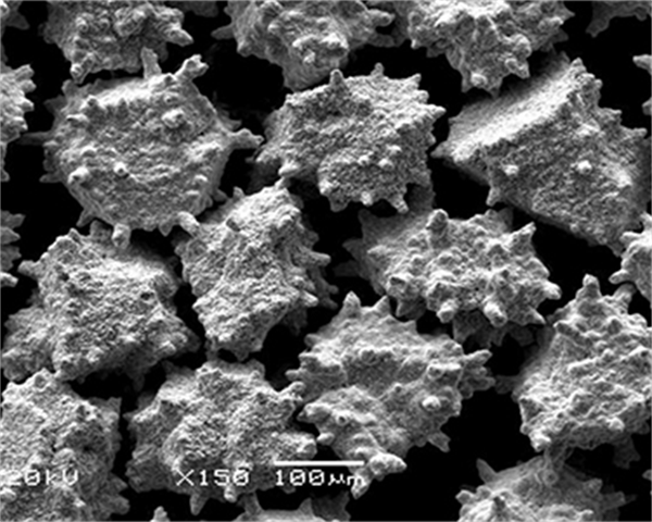 Nickel-Coated Diamond Powder（Chemical Plated）024uh
