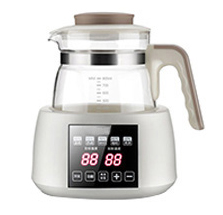 Thermostatic Kettle: Fast Boiling and Precise Temperature Control