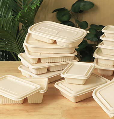 Biodegradable-Food-Containerxd6