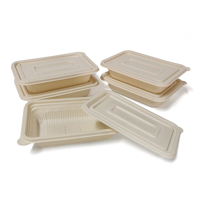 Boîte à lunch carrée à emporter jetable en plastique biodégradable PLA