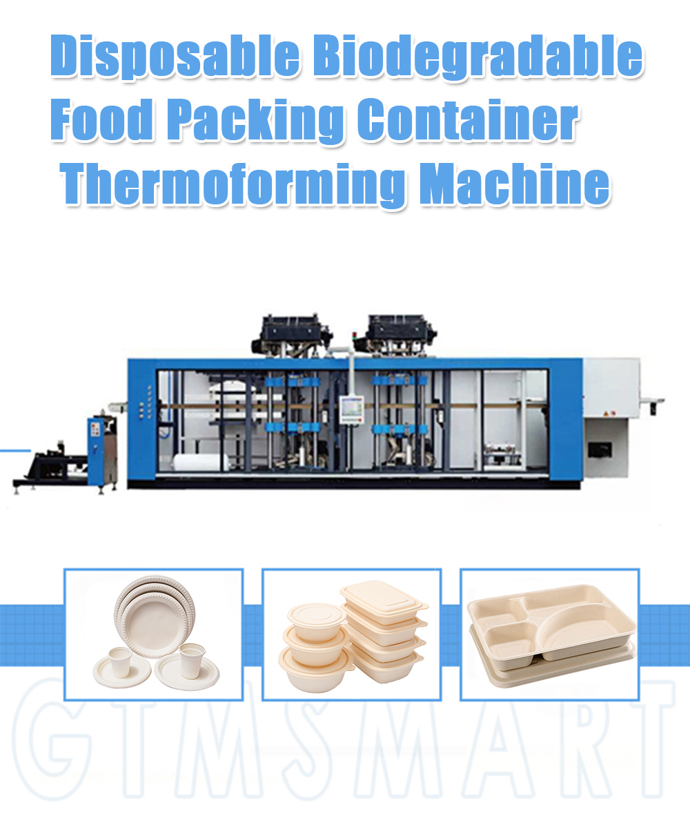 Máquina termoformadora de recipiente de embalagem de alimentos biodegradável de plástico descartável