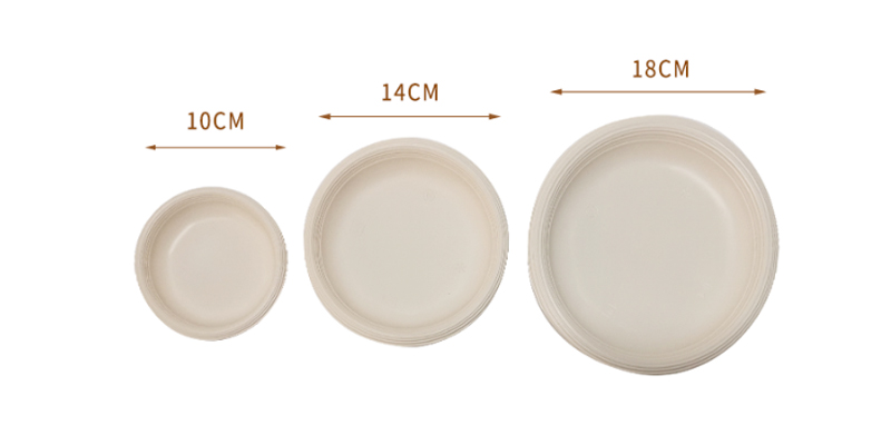 biodegradable plate (3)