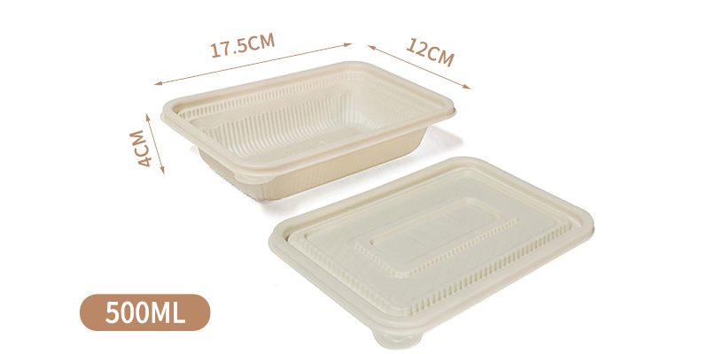 PLA kvadratna kutija za ručak (1)